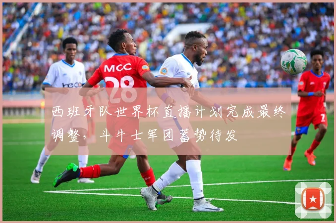西班牙队世界杯直播计划完成最终调整，斗牛士军团蓄势待发