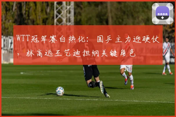 WTT冠军赛白热化：国乒主力迎硬仗，林高远王艺迪担纲关键角色