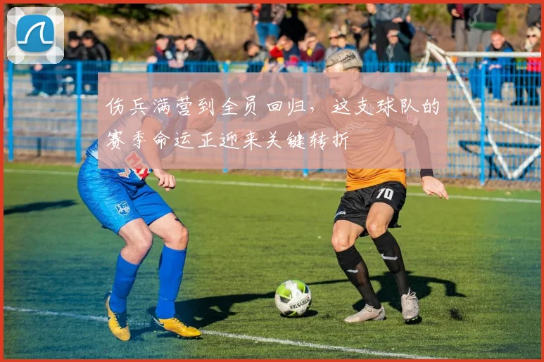 伤兵满营到全员回归，这支球队的赛季命运正迎来关键转折