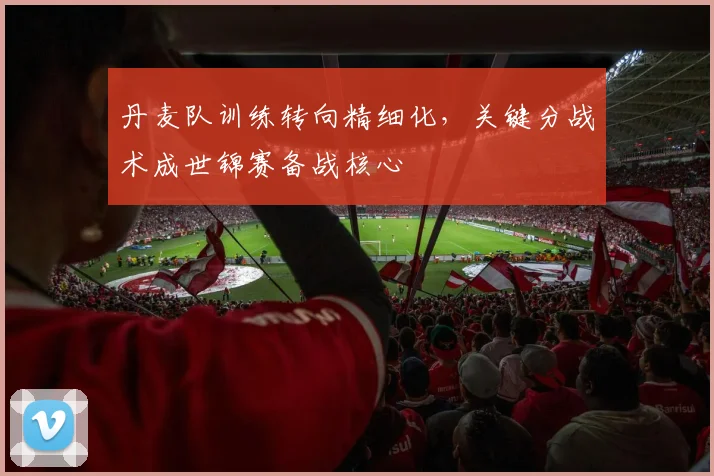 丹麦队训练转向精细化，关键分战术成世锦赛备战核心
